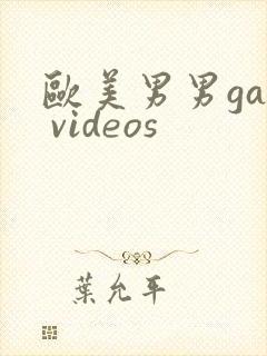 欧美男男gay videos