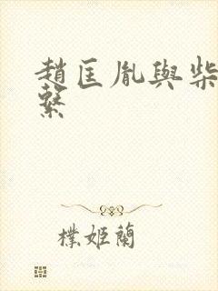 赵匡胤与柴家关系封面