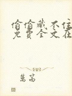 偷偷藏不住小说免费全文在线