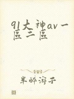 91大神av一区二区