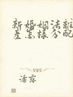 新婚姻法离婚财产怎样分配