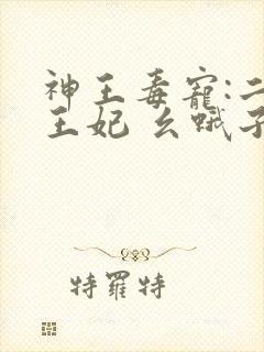 神王毒宠:二嫁王妃 幺蛾子大人封面