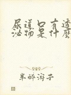 尿道口有透明分泌物是什么原因