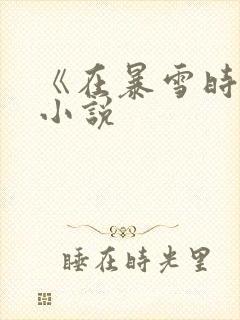 《在暴雪时分》小说