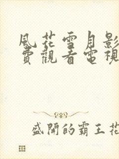 风花雪月影院免费观看电视剧高清