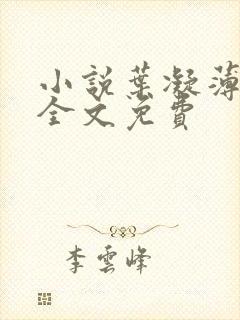 小说叶凝薄寒年全文免费