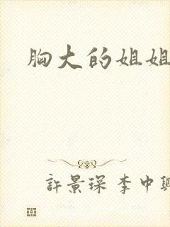 胸大的姐姐韩剧