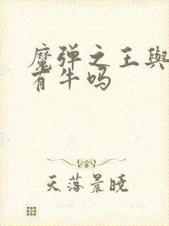 魔弹之王与战姬有牛吗