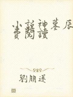 小说神墓辰东免费阅读