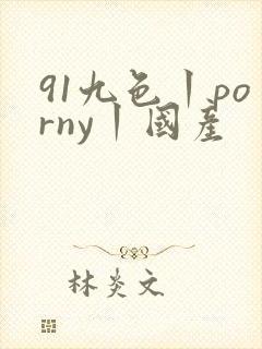 91九色丨porny丨国产