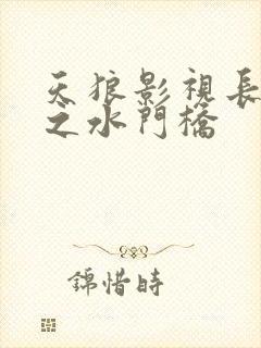 天狼影视长津湖之水门桥