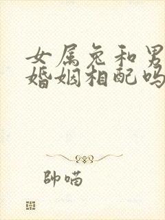 女属兔和男属虎婚姻相配吗封面