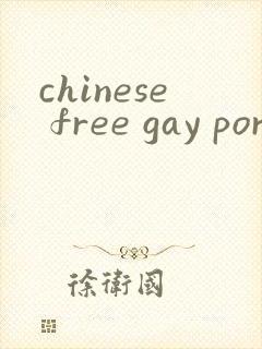chinese free gay porn