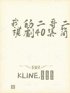 我的二哥二嫂电视剧40集简介