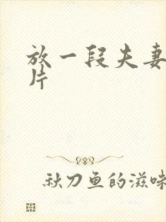 放一段夫妻生活片