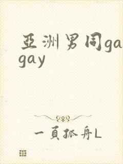 亚洲男同gaygay封面