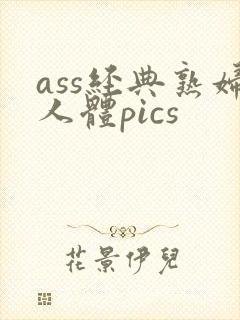 ass经典熟妇人体pics封面