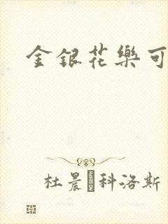 金银花乐可小说