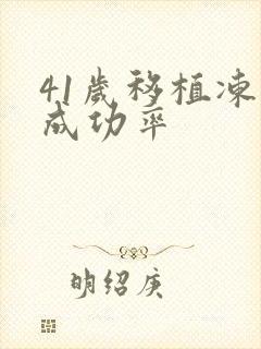 41岁移植冻胚成功率