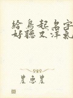 给鸟起名字什么好听又洋气