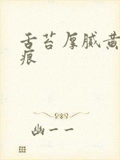 舌苔厚腻黄有齿痕