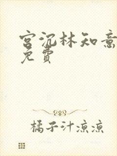 宫沉林知意小说免费