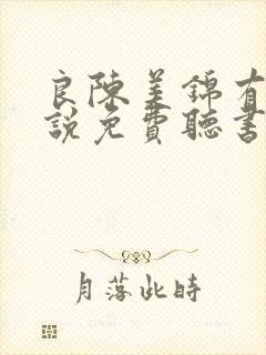 良陈美锦有声小说免费听书封面