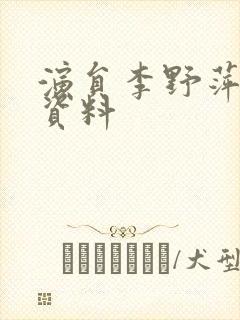 演员李野萍个人资料