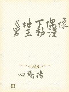 《地下偶像》双男主动漫