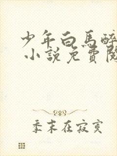 少年白马醉春风 小说免费阅读