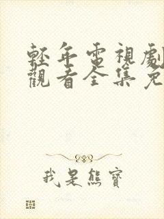 轻年电视剧在线观看全集免费播放高清