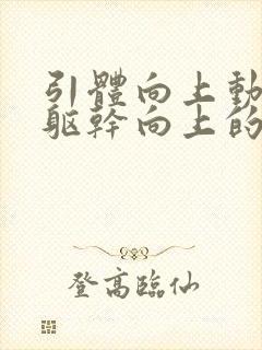 引体向上动作拉躯干向上的主要肌肉