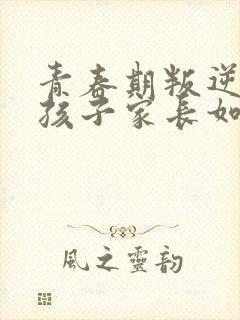 青春期叛逆期男孩子家长如何沟通