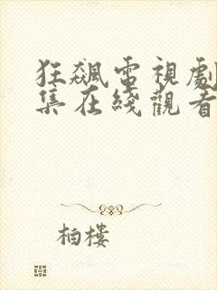 狂飙电视剧40集在线观看免费天天