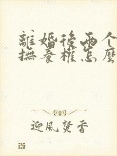 离婚后两个孩子抚养权怎么判定的