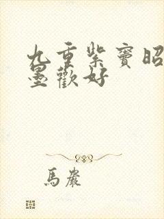 九重紫窦昭和宋墨欢好