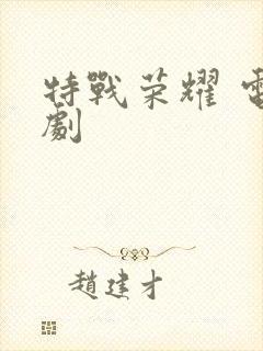 特战荣耀 电视剧