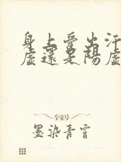 身上爱出汗是阴虚还是阳虚