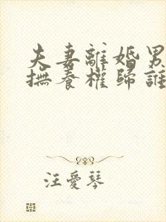 夫妻离婚男孩子抚养权归谁封面