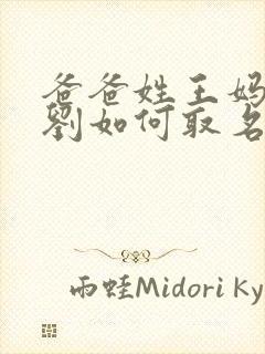 爸爸姓王妈妈姓刘如何取名