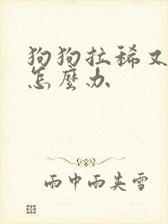 狗狗拉稀又呕吐怎么办