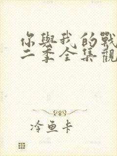 你与我的战场第二季全集观看