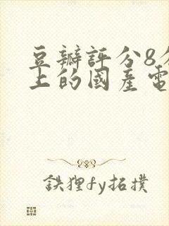 豆瓣评分8分以上的国产电视剧封面