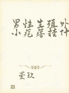 男性生殖外皮有小疙瘩挂什么科