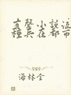 有声小说流氓特种兵在都市小说