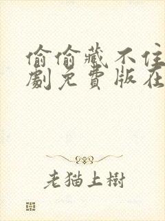 偷偷藏不住电视剧免费版在线