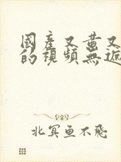 国产又黄又刺激的视频无遮挡