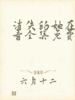 消失的她在线观看全集免费播放