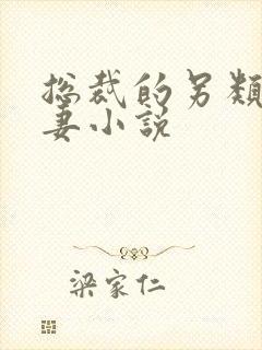 总裁的另类小娇妻小说封面