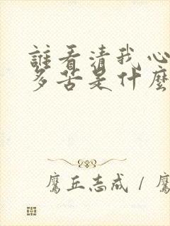 谁看清我心里有多苦是什么歌